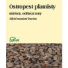 Flos Ostropest Plamisty Mielony 100G
