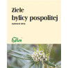 Flos Bylica Pospolita Ziele 50G