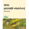 Flos Przytulia Właściwa Ziele 50G