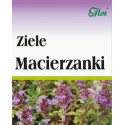 Flos Macierzanka Ziele 50G Wspiera Układ Pokarmowy