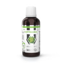 BOTAMED Artemisia liposomalna 50 ml