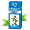 Etja Olejek Melisowy 10Ml Działa Uspokajająco