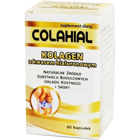 Gorvita Kolagen Z Kwasem Hialuronowym  60 K