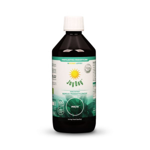 Joy Day EKO Koncentrat Mięta 500Ml