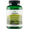 Swanson Kompleks Cynamon Gymnema Morwa 120 K