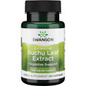 Swanson Fs Buchu Leaf Bukko Brzozowe 60 T