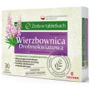 Colfarm Wierzbownica Drobnokwiatowa 30 Tabl.