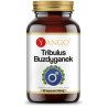 Yango Tribulus Buzdyganek 540 mg 90 k