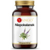 Yango Niepokalanek 540 mg 90 k