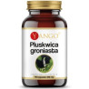 Yango Pluskwica groniasta 390 mg 90 k