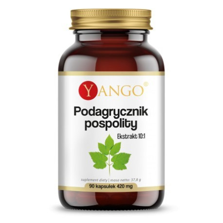 Yango Podagrycznik pospolity 90 k