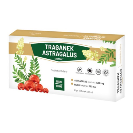 Ginseng Poland Traganek Astragalus 10 X 10 fiolek