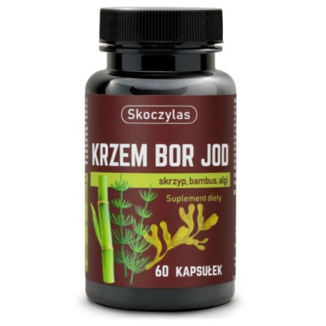 Skoczylas Krzem Bor Jod 60 k