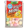 Aka Ksyli-Mini Owocowe 0% Cukru 14G