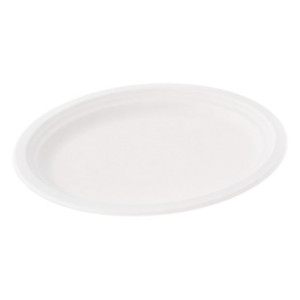 bio Talerz owalny 26x19 biodegradowalny talerz z trzciny cukrowej