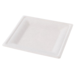 bio Talerz kwadrat 26 biodegradowalny talerz z trzciny cukrowej